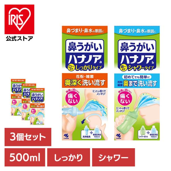 鼻うがい 鼻洗浄 花粉 ハナノア 500ml 3個セット 鼻づまり 鼻水 雑菌 洗浄 小林製薬