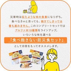 非常食 防災食 15食セット アルファ米 尾西...の詳細画像2