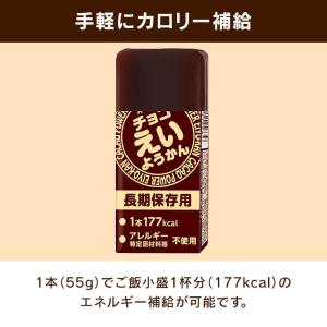 非常食 えいようかん 井村屋 チョコえいようか...の詳細画像2
