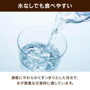 非常食 えいようかん 井村屋 チョコえいようか...の詳細画像4