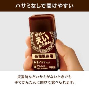 非常食 えいようかん 井村屋 チョコえいようか...の詳細画像5