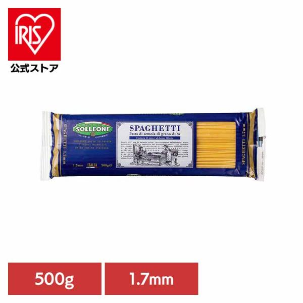ソル・レオーネ　スパゲッティ  1008160 日欧商事株式会社