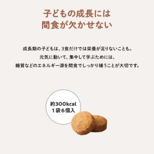 非常食 フリーツ FREEats 米粉クッキー...の詳細画像5