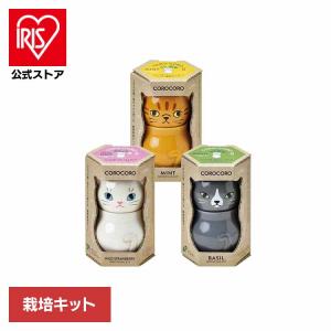 栽培キット ミント バジル ワイルドストロベリー コロコロ キャット 栽培セット 聖新陶芸 GD-102601 GD-102602 GD-102603