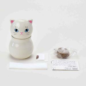 栽培キット ミント バジル ワイルドストロベリ...の詳細画像4