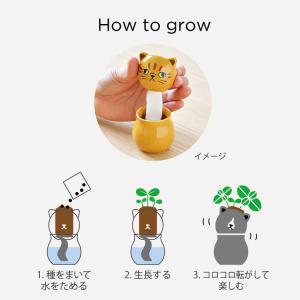 栽培キット ミント バジル ワイルドストロベリ...の詳細画像5