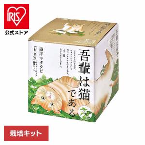 栽培キット マタタビ 聖新陶芸 またたび ギフト...の商品画像
