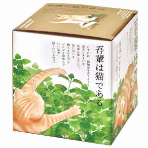 栽培キット マタタビ 聖新陶芸 またたび ギフ...の詳細画像2