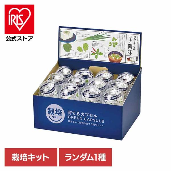 栽培キット 薬味 聖新陶芸 SEISHIN やくみ 青じそ 三つ葉 ねぎ わさび菜 鷹の爪 ランダム...