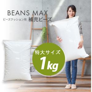 ビーンズMAX 補充用ビーズ 1000g ホワイトの詳細画像1
