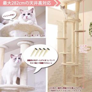 キャットタワー Mau キャットツリー 組み立...の詳細画像2
