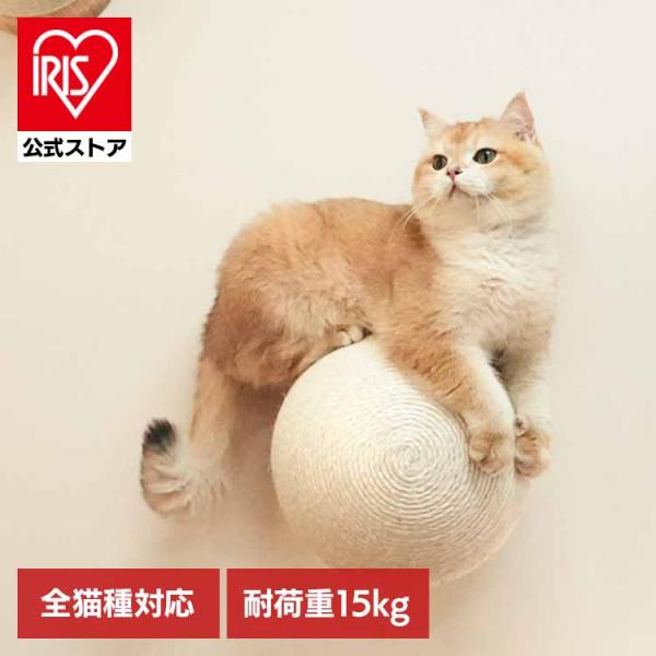 キャットウォーク キャットステップ 爪研ぎボール 猫用品 ペット用品 猫家具 爪研ぎ 壁掛け ペット...