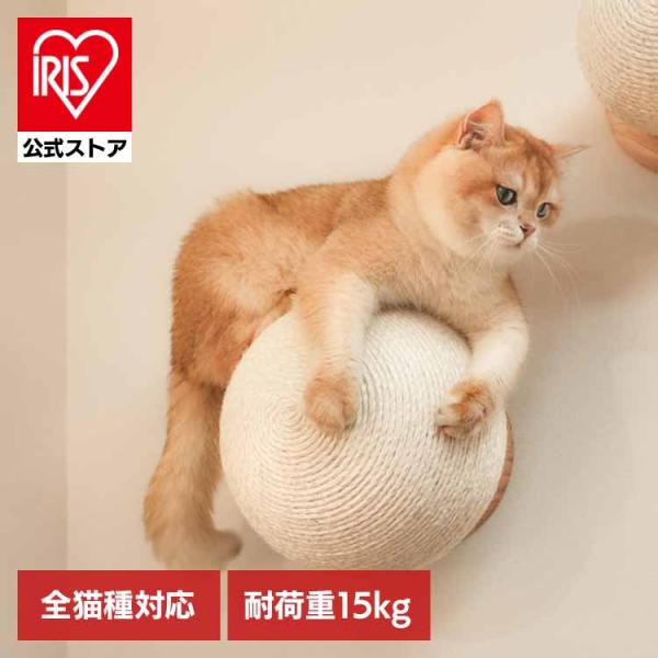 キャットウォーク キャットステップ 爪研ぎボール 猫用品 ペット用品 猫家具 爪研ぎ 壁掛け ペット...