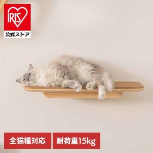 キャットウォーク キャットステップ 猫用品 ペット用品 猫家具 壁掛け シニア猫 ペット共生 猫部屋 短足猫 コルク MZ0026 MYZOO MZ0026