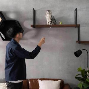 キャットウォーク キャットステップ 猫用品 ペ...の詳細画像2