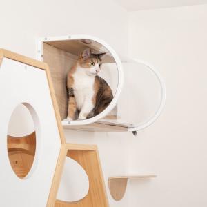 キャットウォーク キャットステップ トンネル ...の詳細画像2