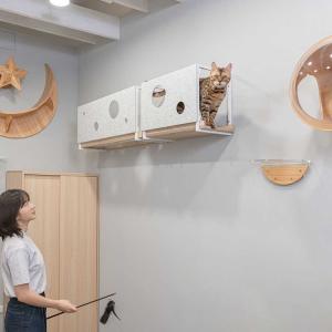 キャットウォーク キャットステップ 猫用品 ペ...の詳細画像3