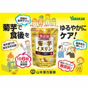 健康食品 山本漢方 健康 サプリメント 無添加...の詳細画像2