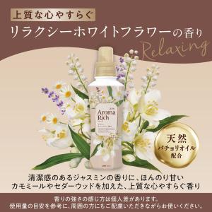 ソフラン アロマリッチ 本体 400mL ライ...の詳細画像1