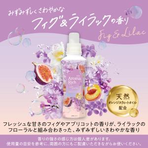 ソフラン アロマリッチ 本体 400mL ライ...の詳細画像2