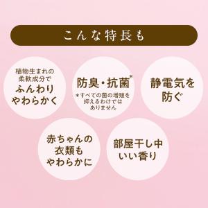 ソフラン アロマリッチ 本体 400mL ライ...の詳細画像5