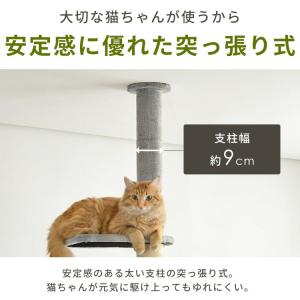 キャットタワー 木製 突っ張り スリム 猫 タ...の詳細画像5