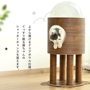 キャットタワー 木製 据え置き 猫 ハウス ペ...の詳細画像3