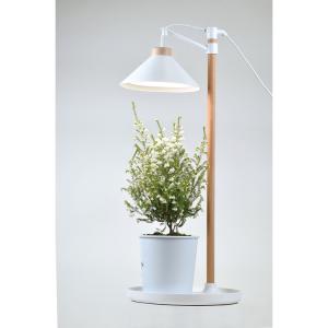 植物育成 プラント 園芸 植物 観葉植物 開花...の詳細画像2