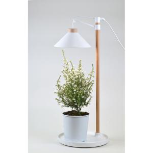 植物育成 プラント 園芸 植物 観葉植物 開花...の詳細画像3