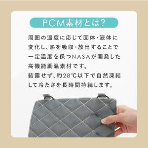 背中冷やし 冷感シート 冷却グッズ 冷感グッズ...の詳細画像5