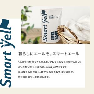 洗濯槽クリーナー 大容量 除菌 消臭 洗濯槽 ...の詳細画像1