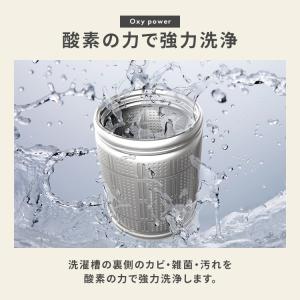 洗濯槽クリーナー 大容量 除菌 消臭 洗濯槽 ...の詳細画像2