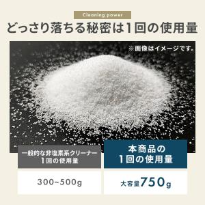 洗濯槽クリーナー 大容量 除菌 消臭 洗濯槽 ...の詳細画像3
