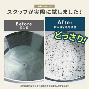 洗濯槽クリーナー 大容量 除菌 消臭 洗濯槽 ...の詳細画像5