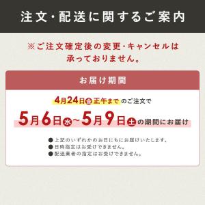 母の日 2026 カステラ 文明堂 スイーツ ...の詳細画像2