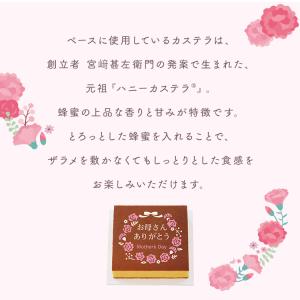 母の日 2026 カステラ 文明堂 スイーツ ...の詳細画像5