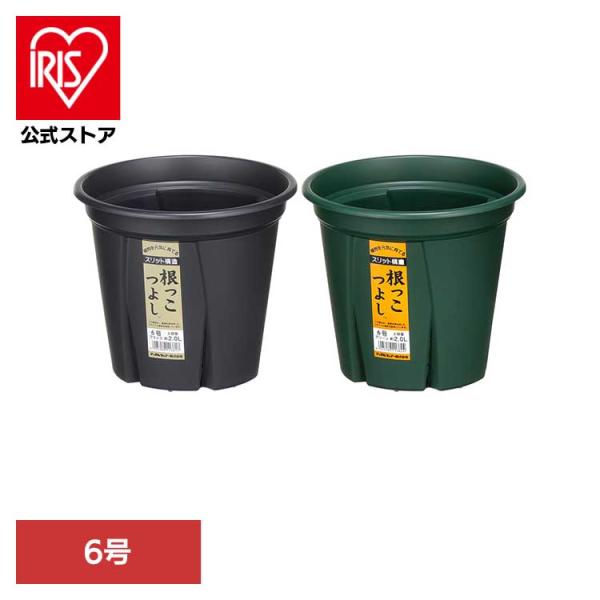鉢 植木鉢 プランター スリット 軽い 簡単 手軽 根 花 野菜 根っこつよし 6号 アップルウェア...