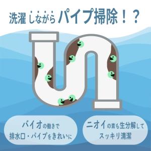 緑の魔女 洗濯洗剤 本体 洗剤 業務用 衣類用...の詳細画像4