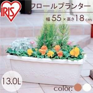 植木鉢 プランター プラスチック 長方形 幅55cm アイリスオーヤマ