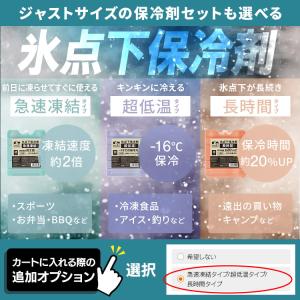 クーラーボックス 釣り 20L 真空断熱 ハー...の詳細画像1