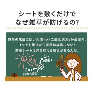 防草シート 50M BS-50 ブラック アイ...の詳細画像1