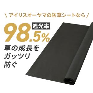防草シート 50M BS-50 ブラック アイ...の詳細画像2