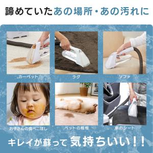 リンサークリーナー アイリスオーヤマ カーペッ...の詳細画像3