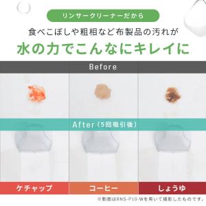 リンサークリーナー アイリスオーヤマ 強力吸引...の詳細画像2