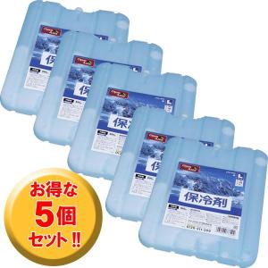 (5個セット)保冷剤ハード(Lサイズ) CKB-800 (まとめ割 まとめ買い/アイリスオーヤマ)｜アイリスプラザ Yahoo!店