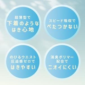 お試しセット 2枚 大人用紙おむつ 2回吸収 ...の詳細画像1