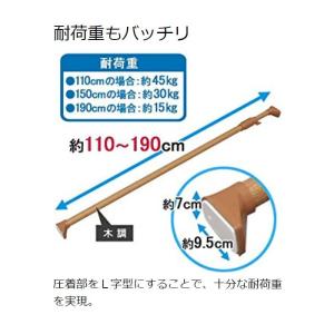 つっぱり棒 伸縮棒 アイリスオーヤマ 幅110...の詳細画像2