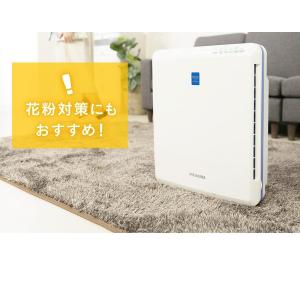 空気清浄機 コンパクト 小型 ペット アイリス...の詳細画像4