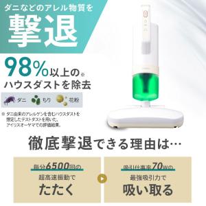 布団クリーナー アイリスオーヤマ フィルター ...の詳細画像1