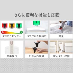 布団クリーナー アイリスオーヤマ フィルター ...の詳細画像3